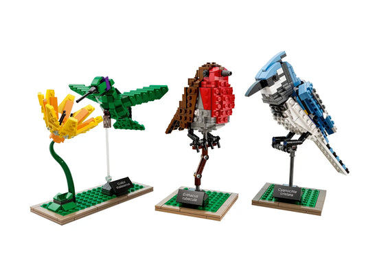 Fugle (21301)