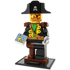 A Minifigure Tribute (40504)