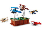 Pursuit of Flight (910028)